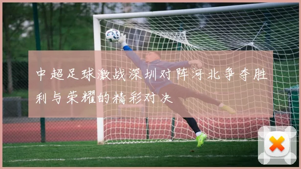 中超足球激战深圳对阵河北争夺胜利与荣耀的精彩对决