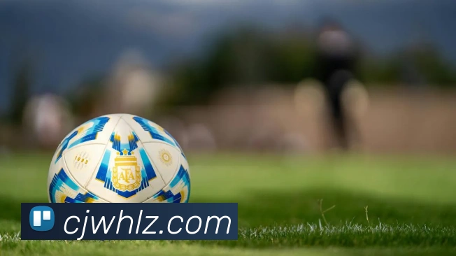 火狐电竞品牌故事